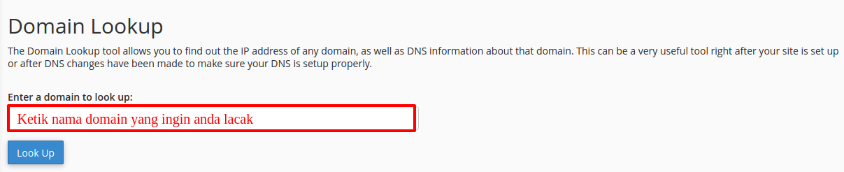 Cara Menggunakan Track DNS Di CPanel – Tutorial Domosquare.com